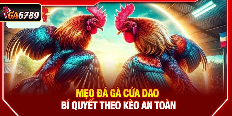 Mẹo Đá Gà Cửa Dao- Bí Quyết Theo Kèo An Toàn Tại Ga6789 5 Mẹo Đá Gà Cửa Dao- Bí Quyết Theo Kèo An Toàn