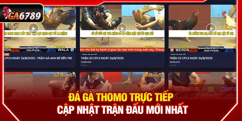 Đá Gà Thomo Trực Tiếp - Cập Nhật Trận Đấu Mới Nhất Tại Ga6789 4 Đá Gà Thomo Trực Tiếp - Cập Nhật Trận Đấu Mới Nhất