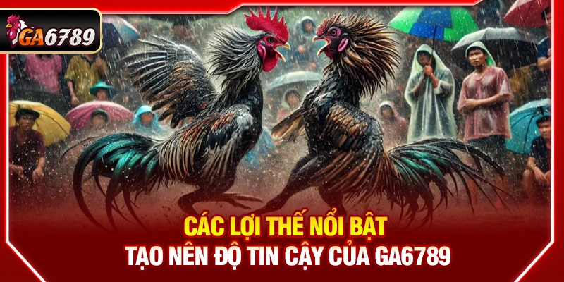 Ga6789 - Link Đá Gà 6789 Chuẩn Chính Hãng Mới Nhất【07/2026】 12 Các lợi thế nổi bật tạo nên độ tin cậy của Ga6789