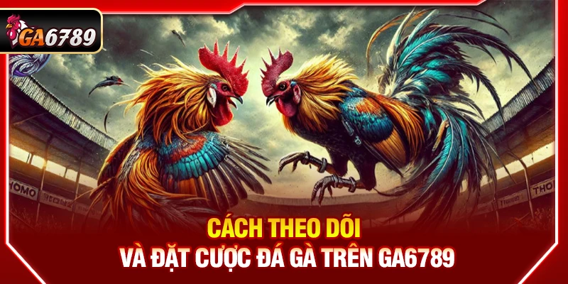 Ga6789 - Link Đá Gà 6789 Chuẩn Chính Hãng Mới Nhất【07/2026】 16 Cách theo dõi và đặt cược đá gà trên Ga6789