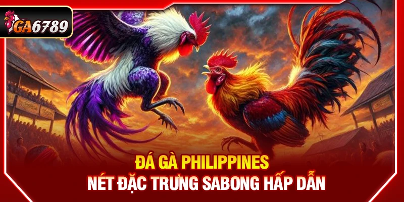 Ga6789 - Link Đá Gà 6789 Chuẩn Chính Hãng Mới Nhất【07/2026】 14 Đá gà Philippines - Nét đặc trưng Sabong hấp dẫn