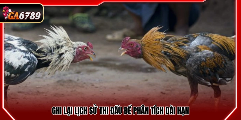Đá Gà Thomo Trực Tiếp - Cập Nhật Trận Đấu Mới Nhất Tại Ga6789 4 Lưu lại lịch sử thi đấu nhằm phân tích về lâu dài