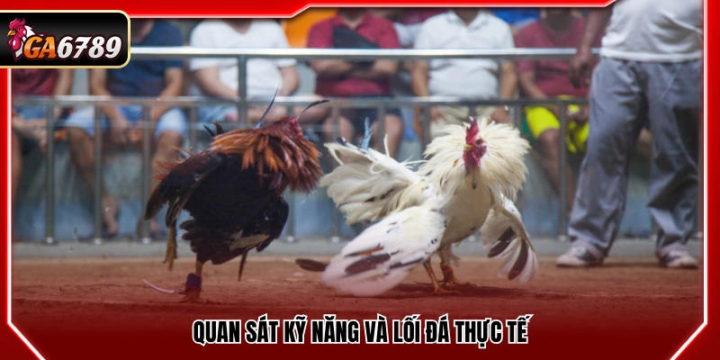 Kèo Chấp Đá Gà - Cách Hiểu Và Áp Dụng Chuẩn Tại Ga6789 4 Theo dõi kỹ năng cùng lối đá trong thực tế