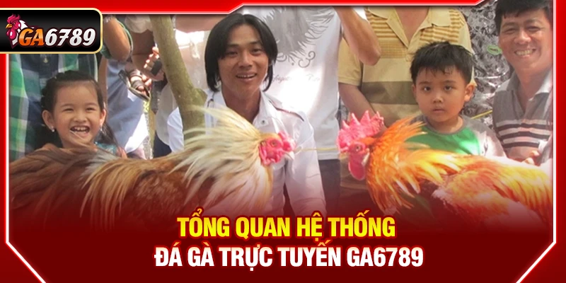 Ga6789 - Link Đá Gà 6789 Chuẩn Chính Hãng Mới Nhất【07/2026】 11 Tổng quan hệ thống đá gà trực tuyến Ga6789