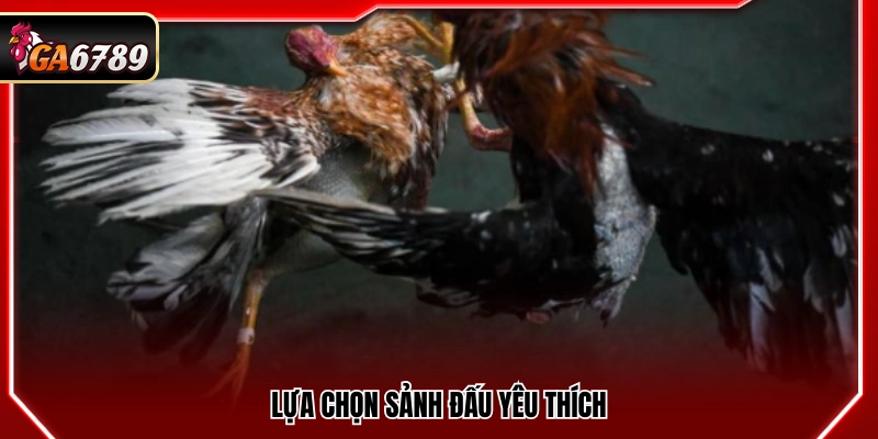 Trực Tiếp Đá Gà Hôm Nay - Xem Đá Gà Full Trận Mới Nhất 4 Chọn đấu trường phù hợp sở thích